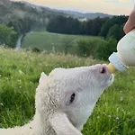 Zerko Janko With Jacuzzi And Sauna *