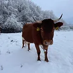 דירה Zerko Janko With Jacuzzi And Sauna