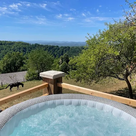 公寓 Zerko Janko With Jacuzzi And Sauna Mirna