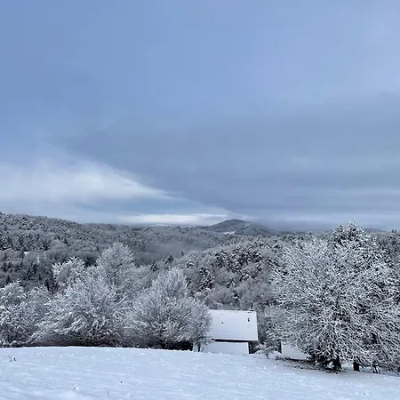 Zerko Janko With Jacuzzi And Sauna Mirna
