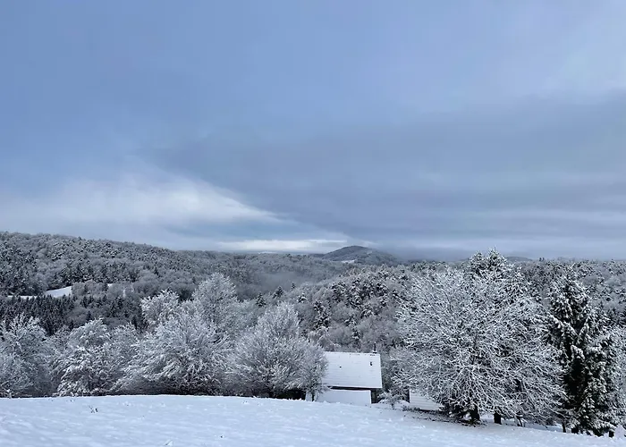Zerko Janko With Jacuzzi And Sauna Mirna